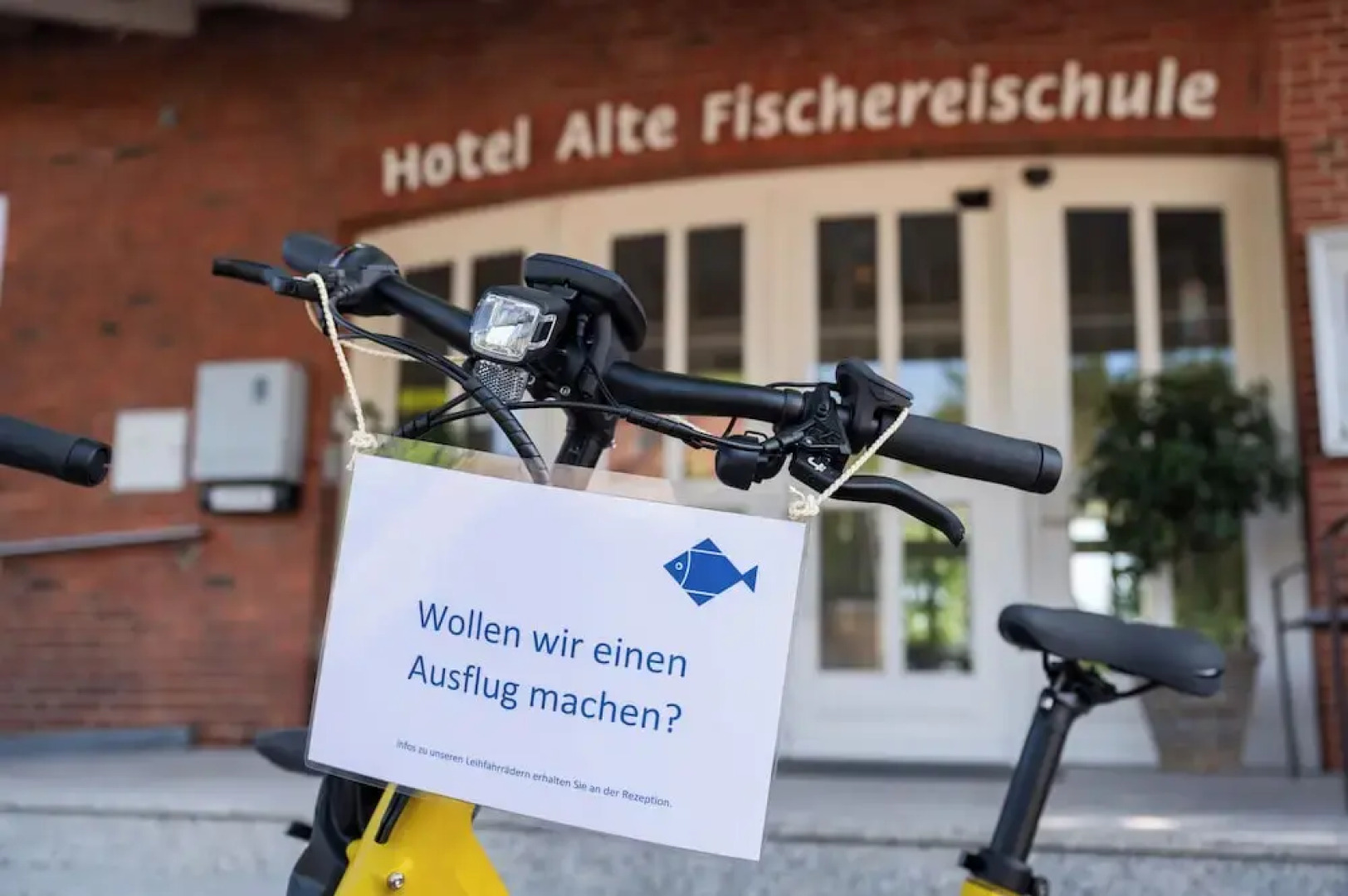 Alte Fischereischule