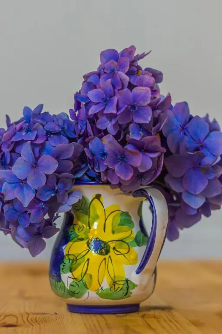 The Old Sunday School