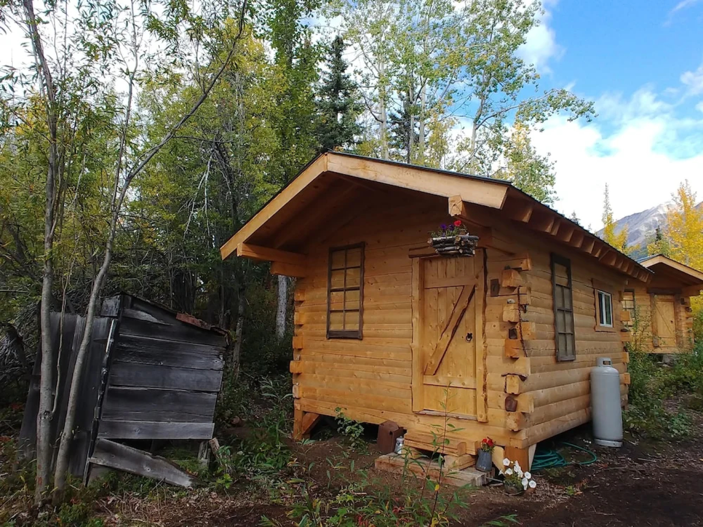 Blackburn Cabins