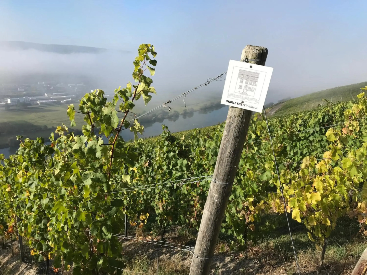 SYBILLE KUNTZ Weingut Gästehaus