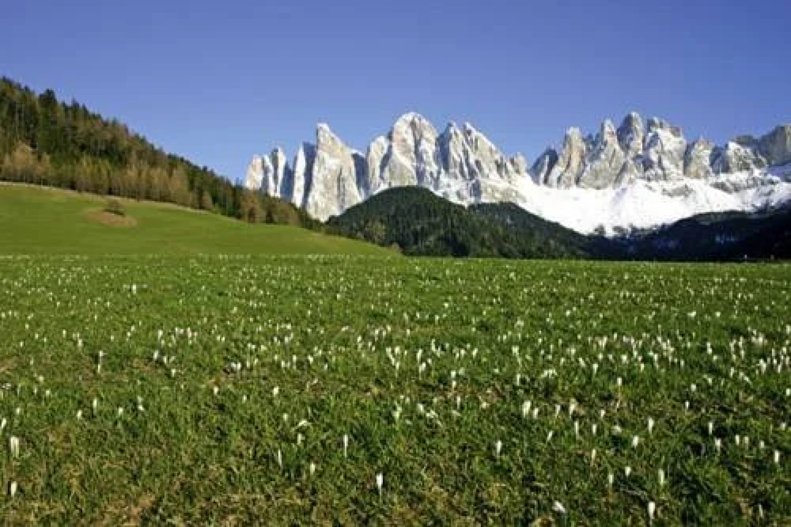 Wanderhotel Teiserhof