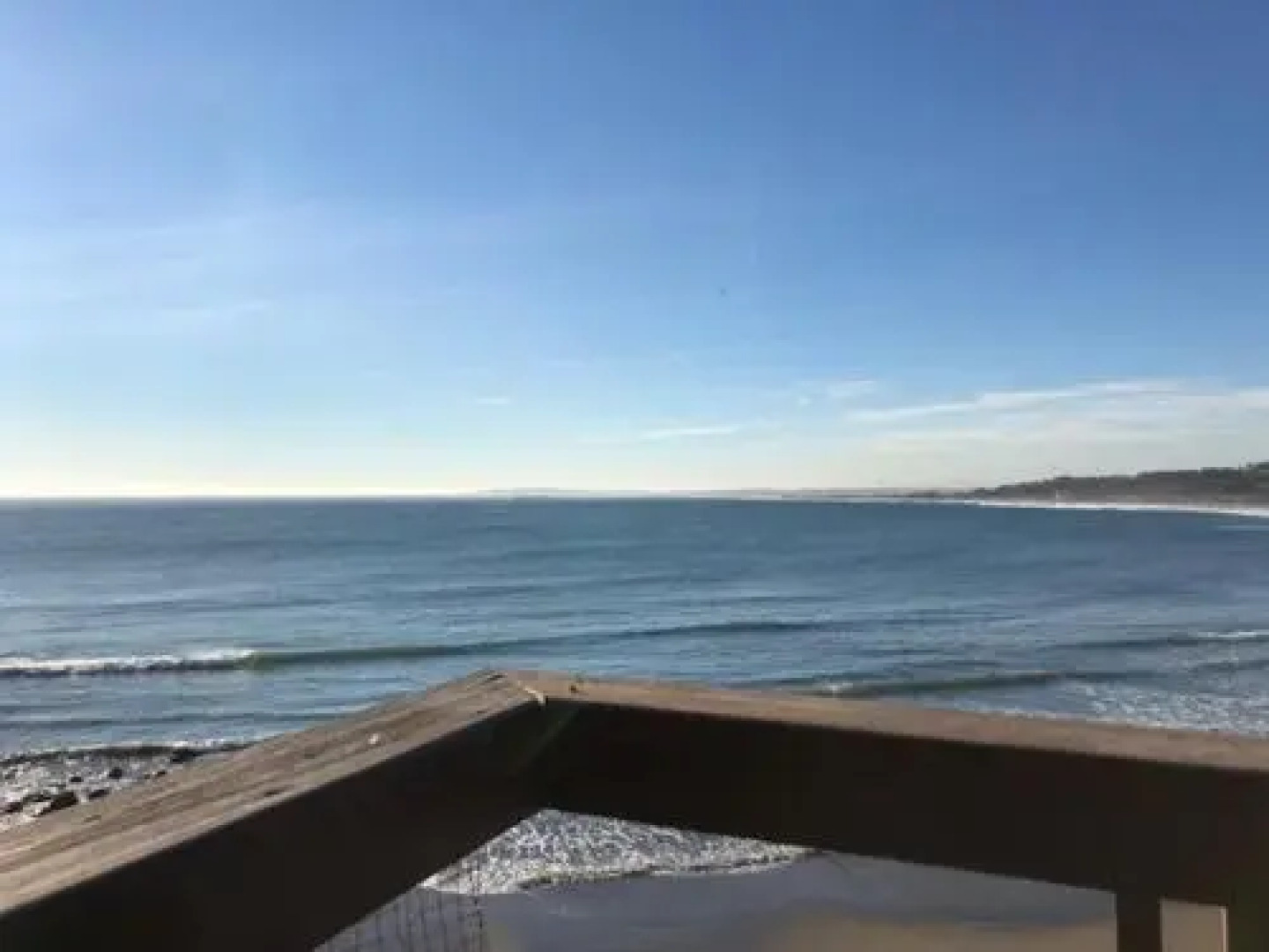 Pingüino En La Roca Cabañas