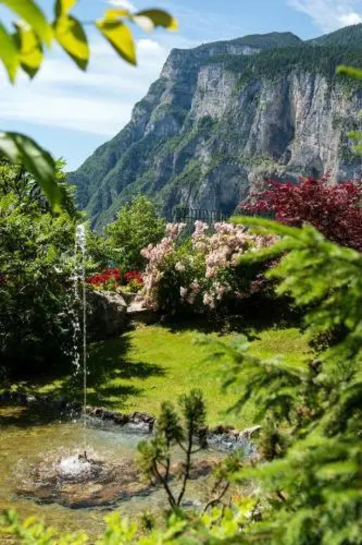 Alp & Wellnes Sport Hotel Panorama