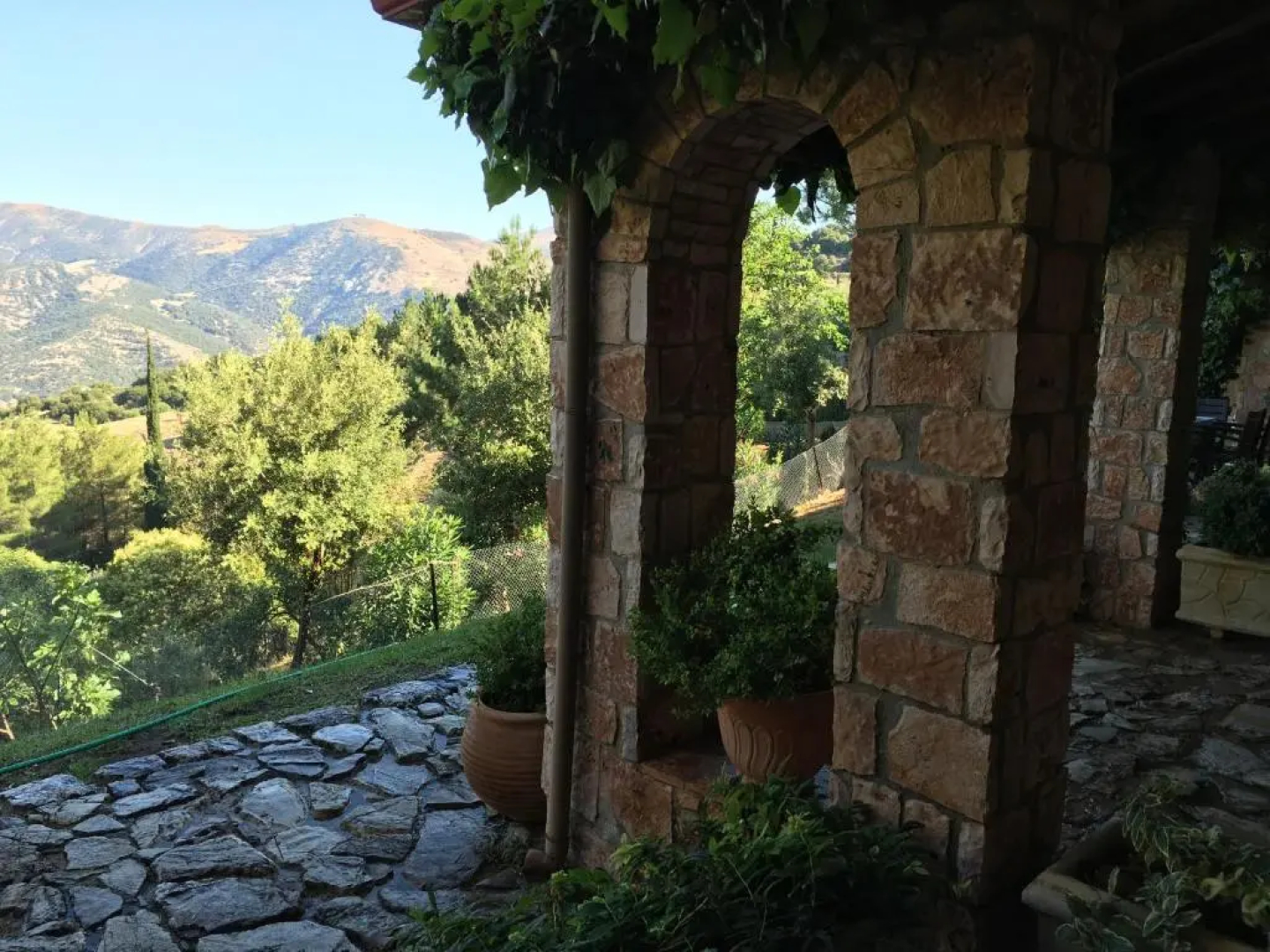 Aphrodites Inn