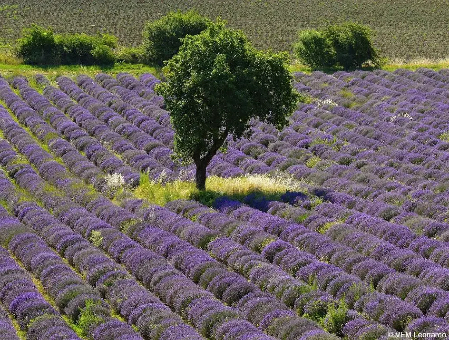 ibis Avignon Centre Pont de l'Europe