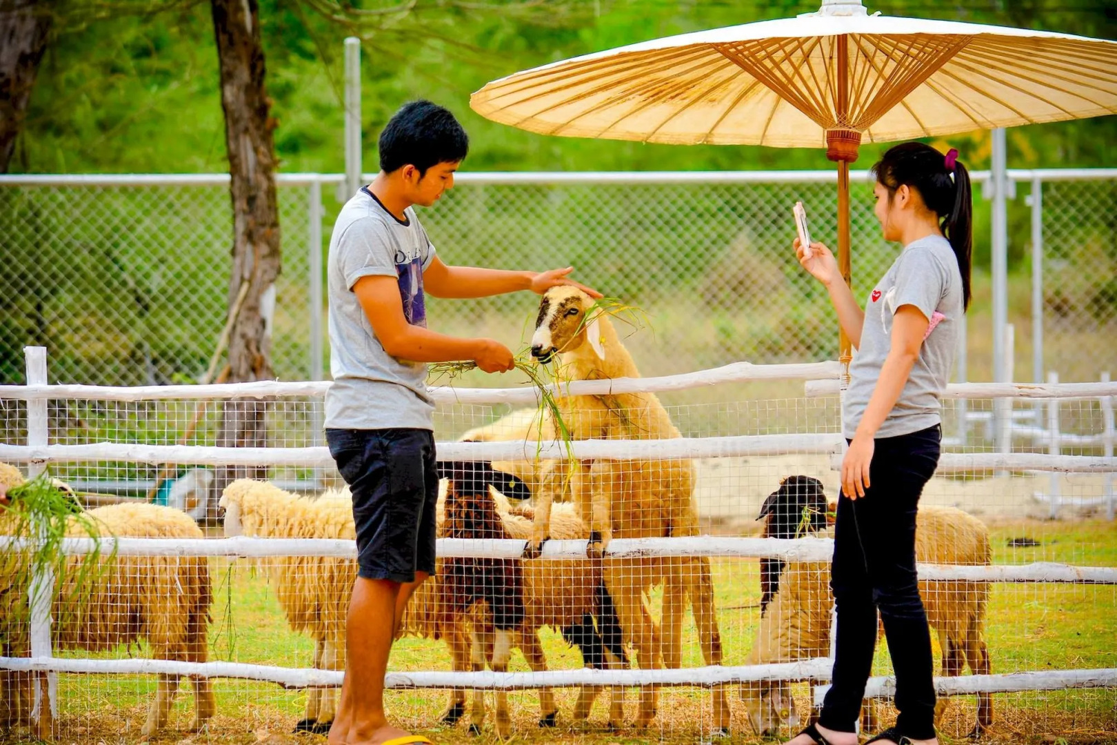 Samila Camping and Resort Songkhla