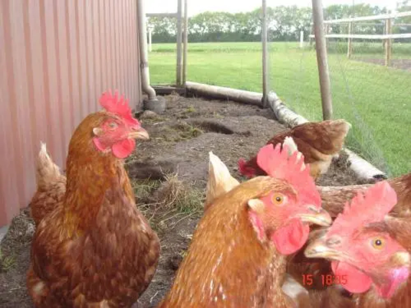 Skovboferie Apartments