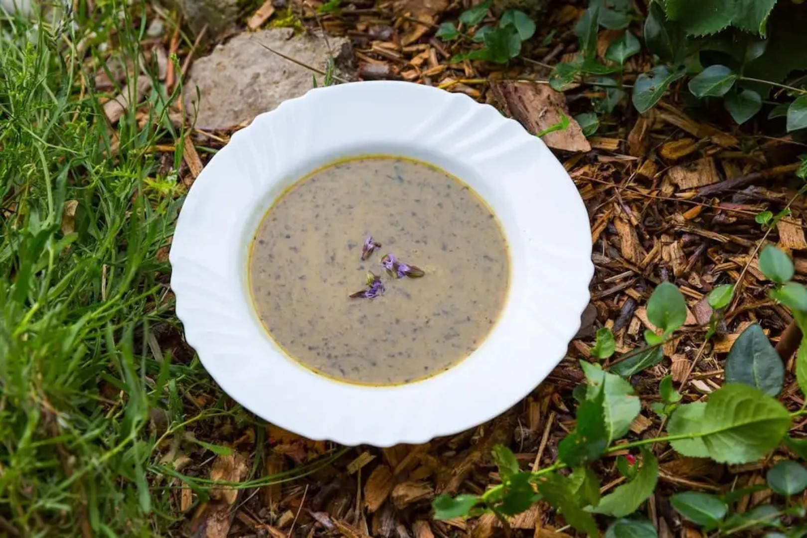 Kräuterhotel Garni zur Klostergrotte
