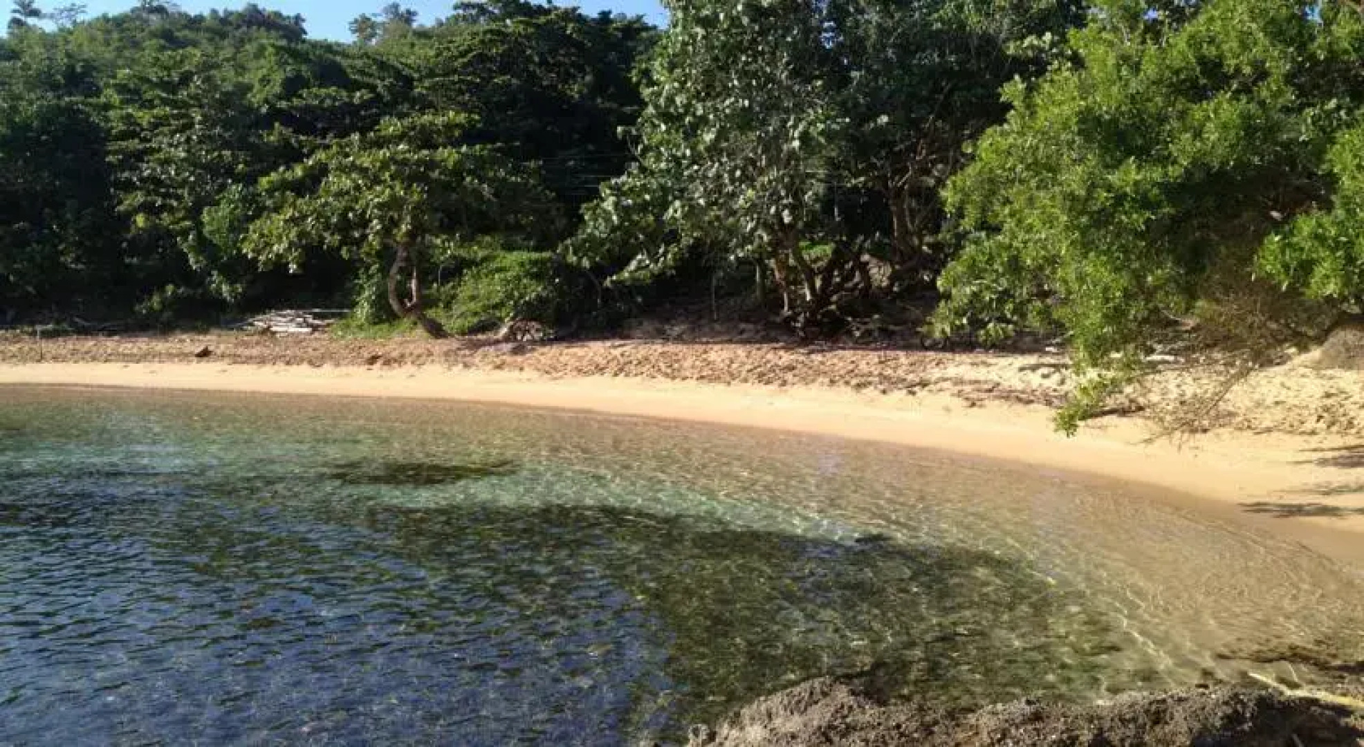 Appartements en Jamaique