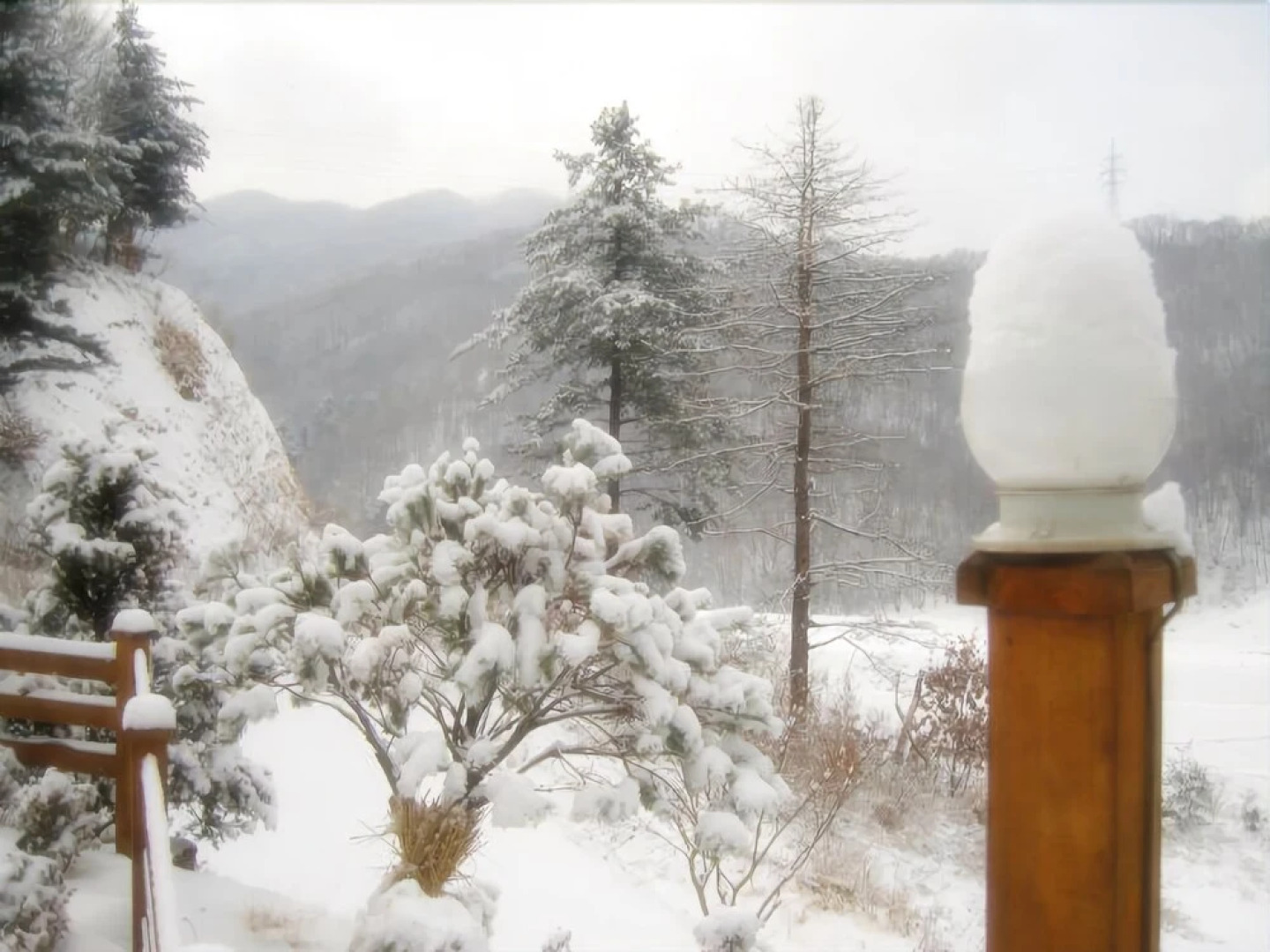 Yangpyeong Natural Fragrance Individual Pension