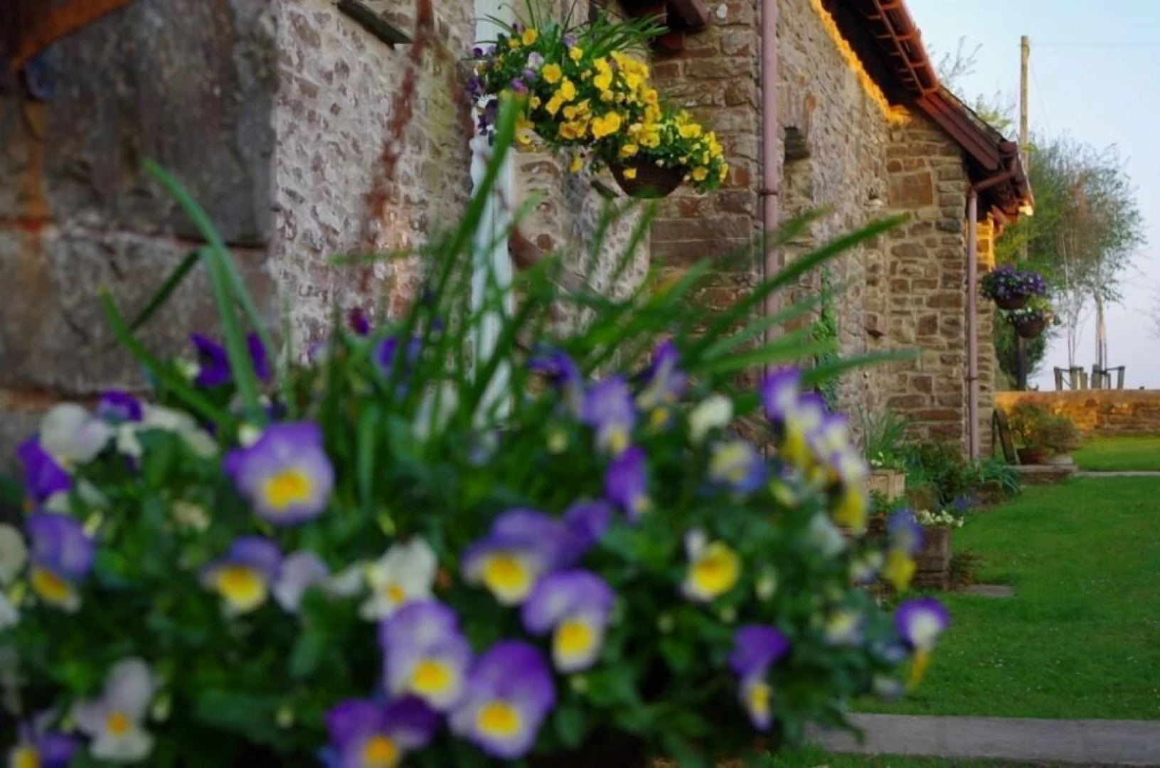 Birchill Farm & Cottages