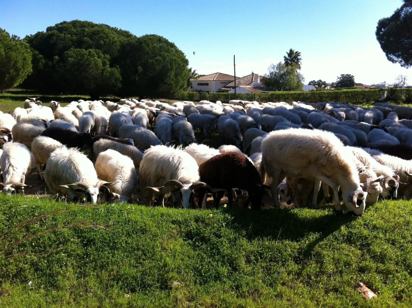 The Birds Nest Luxury B&B