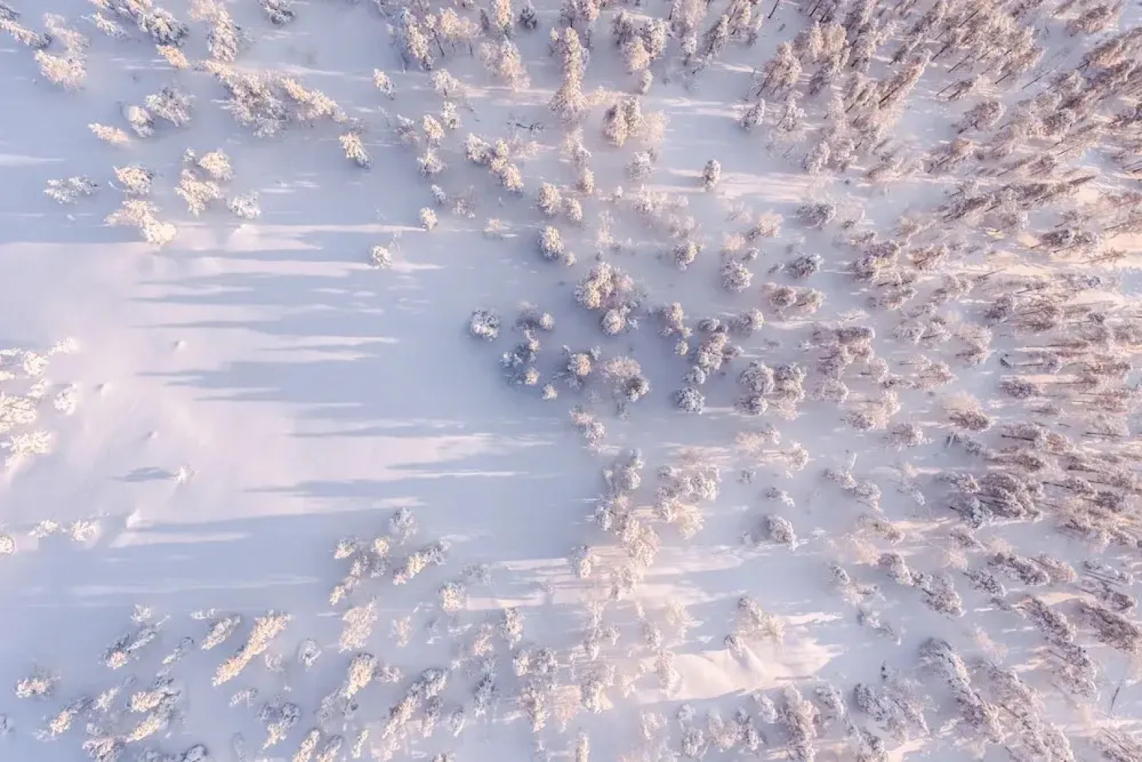 Scandic Hotel Luosto