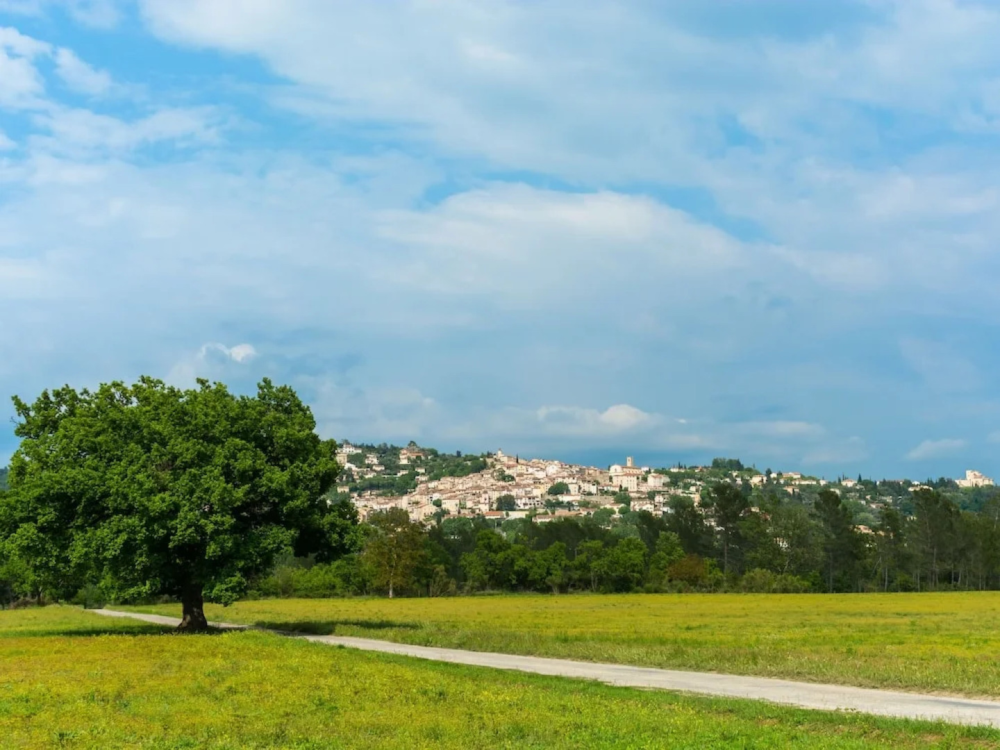 Traditional Holiday Home with Swimming Pool in Fayence