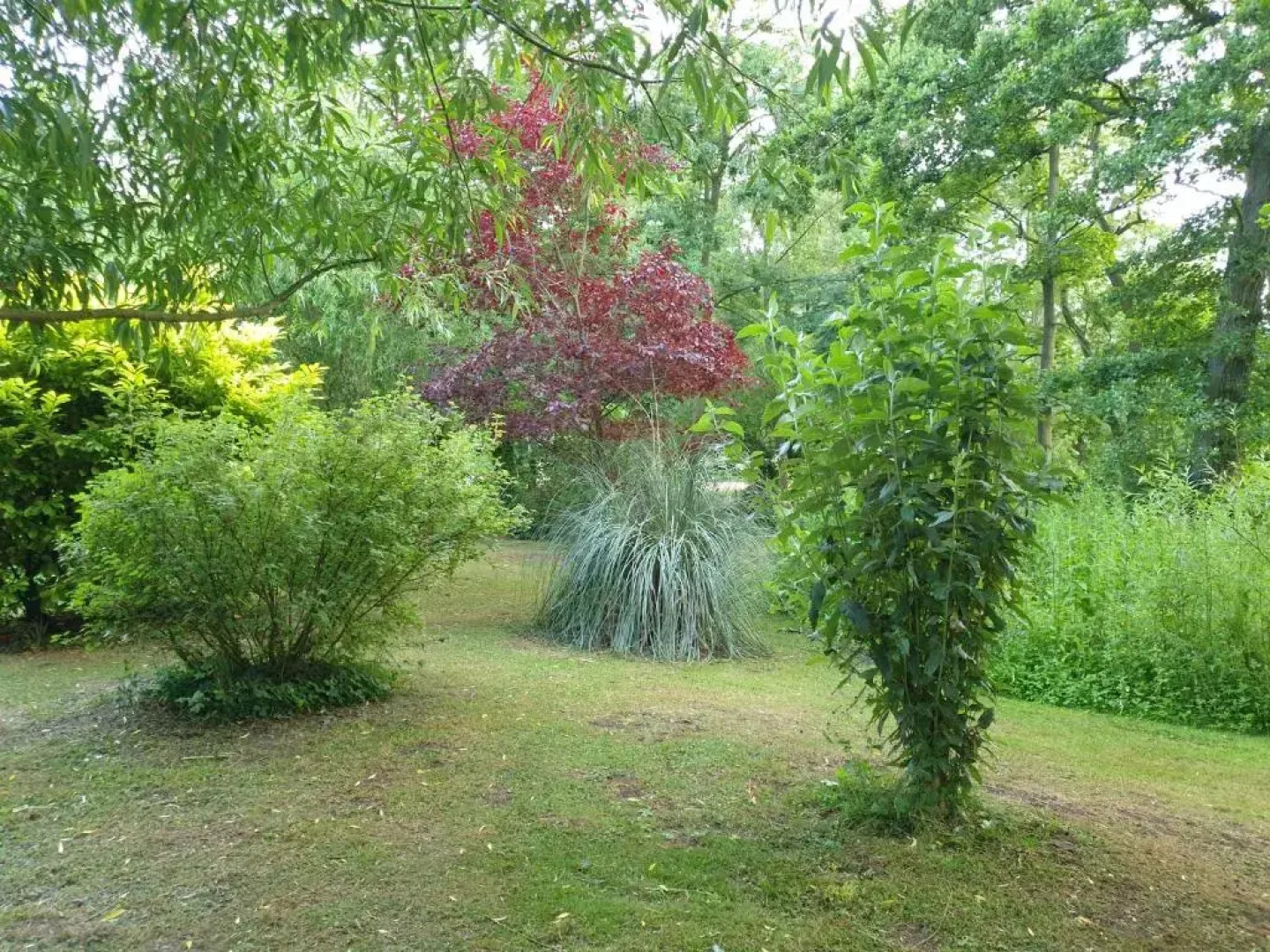 Langdale Lodge Bed & Breakfast