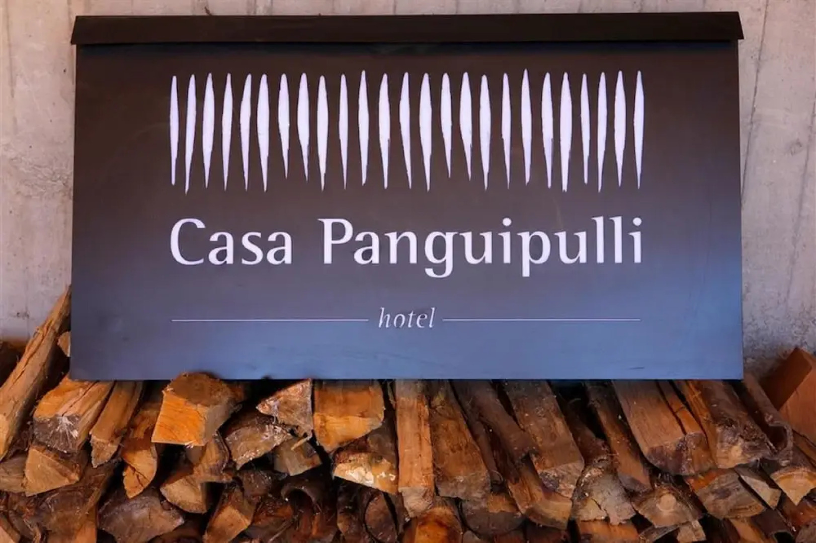Hotel Casa Panguipulli