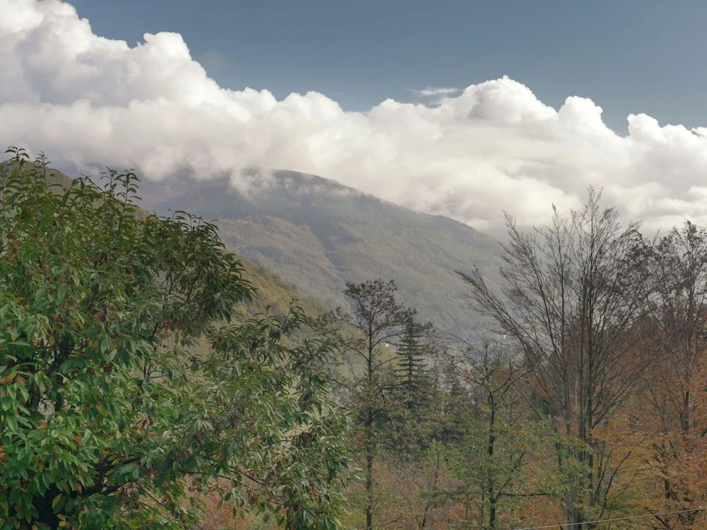 Comfy Holiday Home With Fireplace, Garden Furniture,barbecue