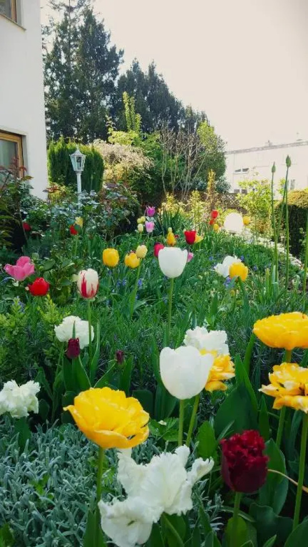 Hotel Garni Zur Traube