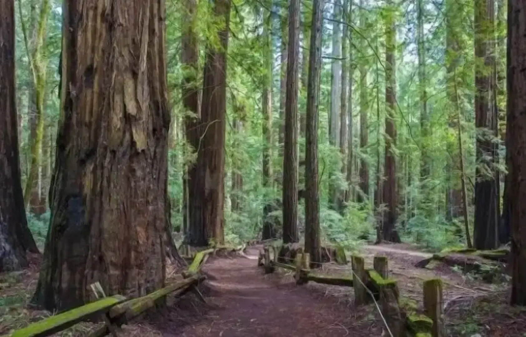 Wine-tasting, Light-filled And Kid-friendly House 5 Bedroom Home by Redawning