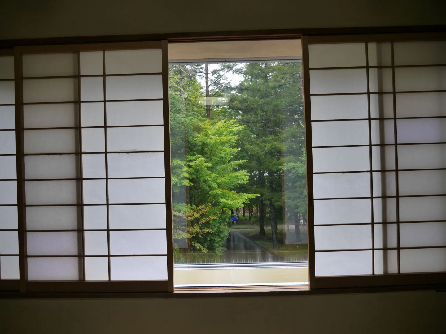 Yamanakako-Asahigaoka-Onsen Hotel Seikei