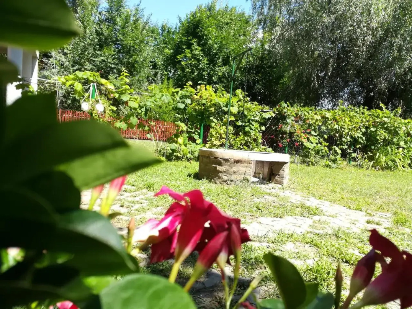 Tiszavirág Vendégház