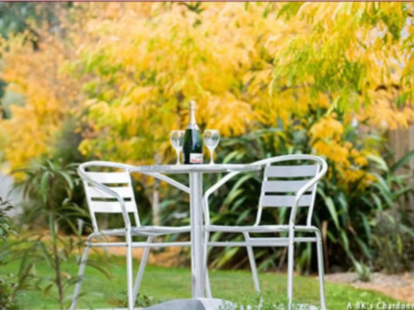 BKs Chardonnay Motor Lodge