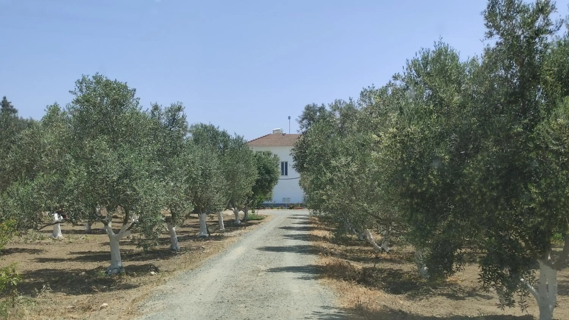 Kiti Village Villa Larnaca
