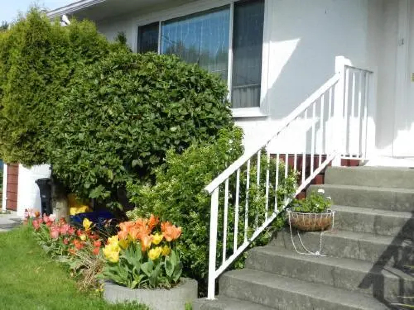 Serenity Bed and Breakfast