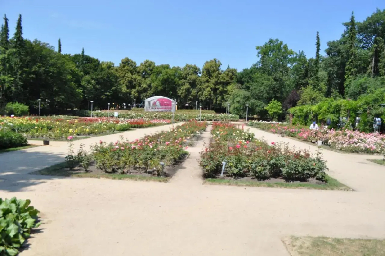 Willa Pod Starymi Lipami