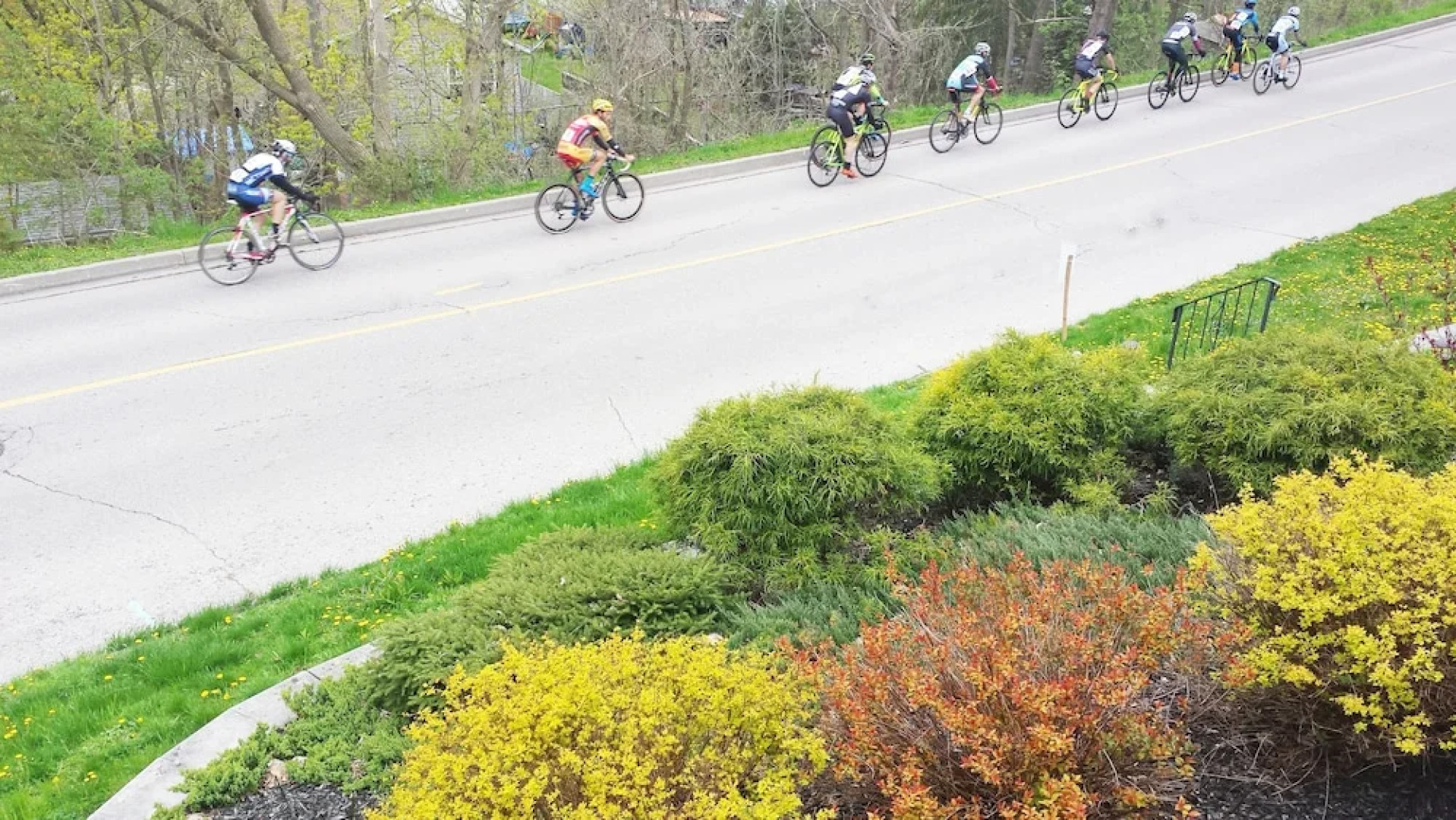 Little Paris Bed and Breakfast