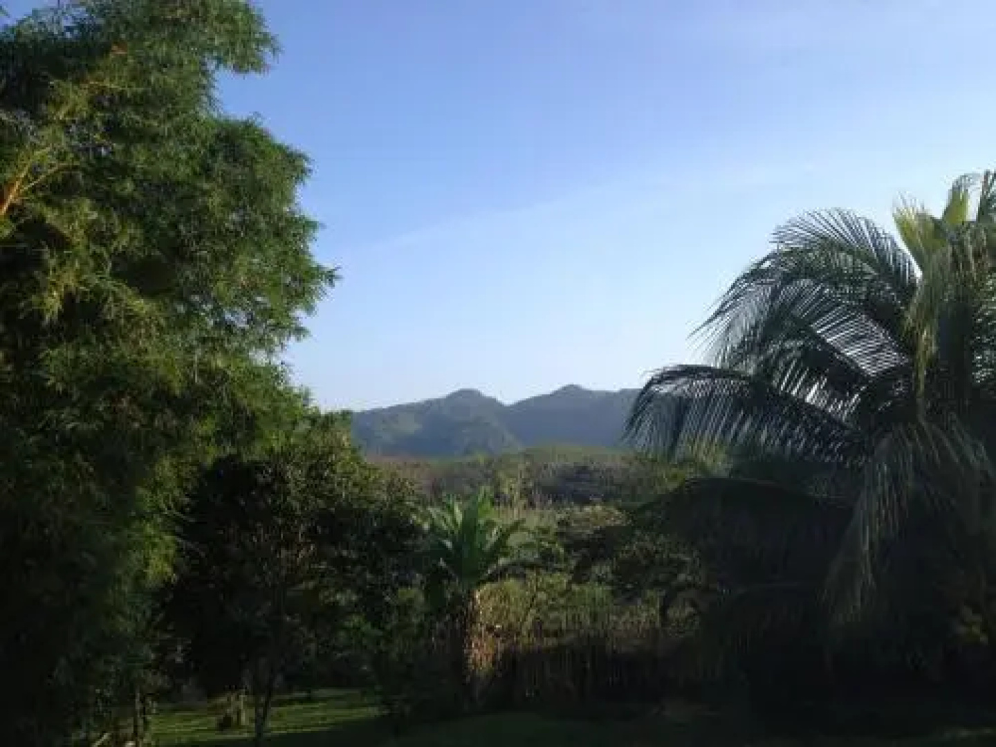 El Colombre