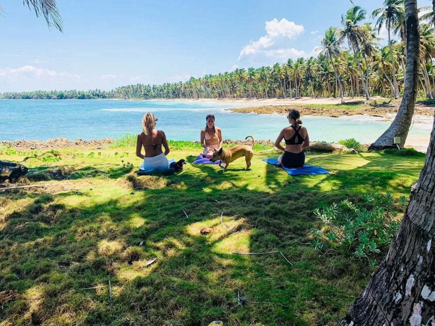 Baoba Breeze Bed & Breakfast