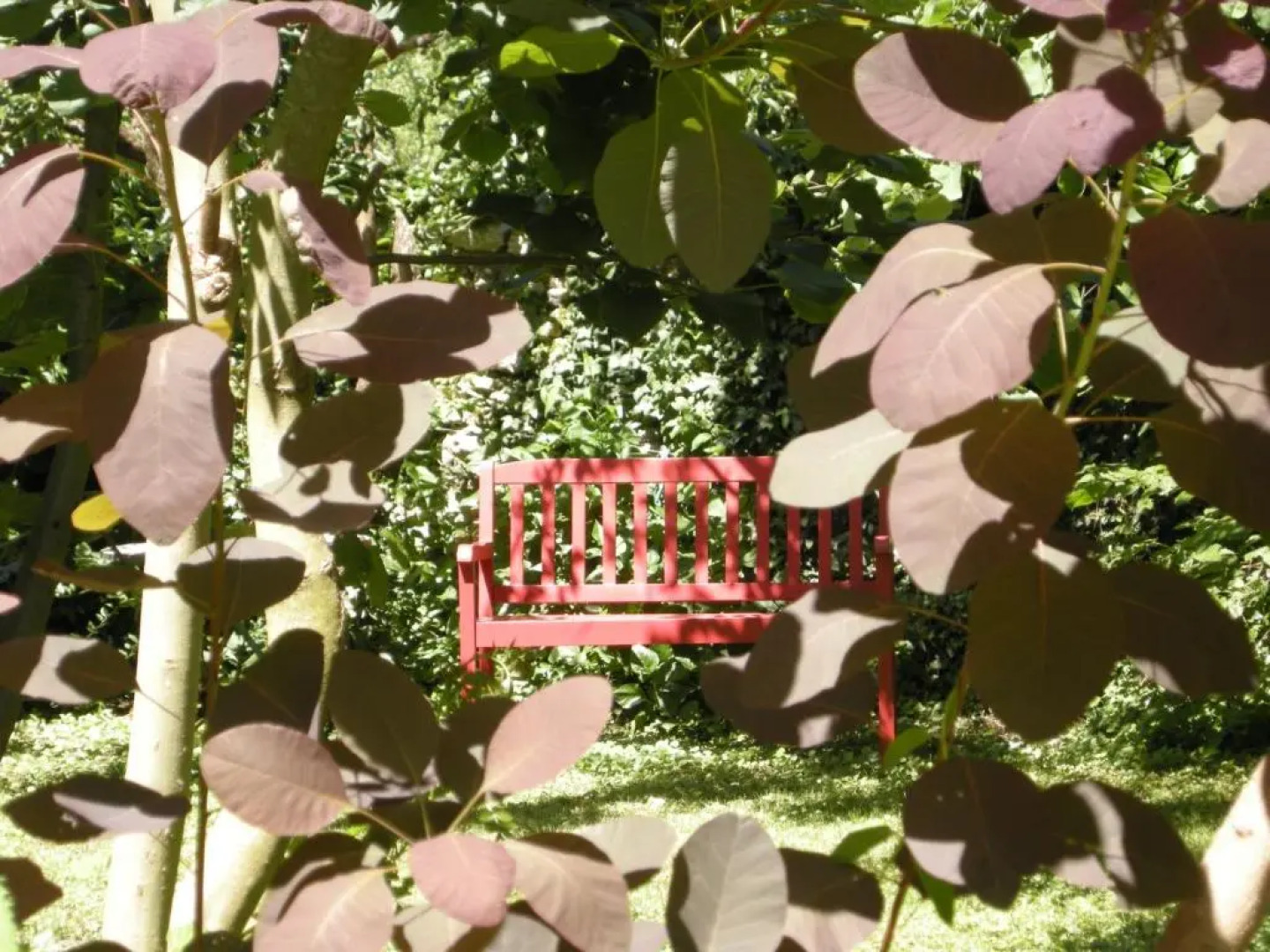 Le Clos de la Vigneronne
