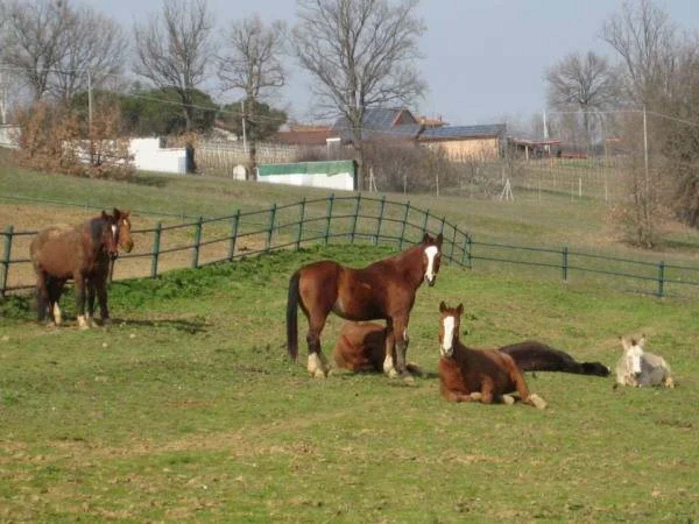 Hotel Leon DOro Castell Arquato