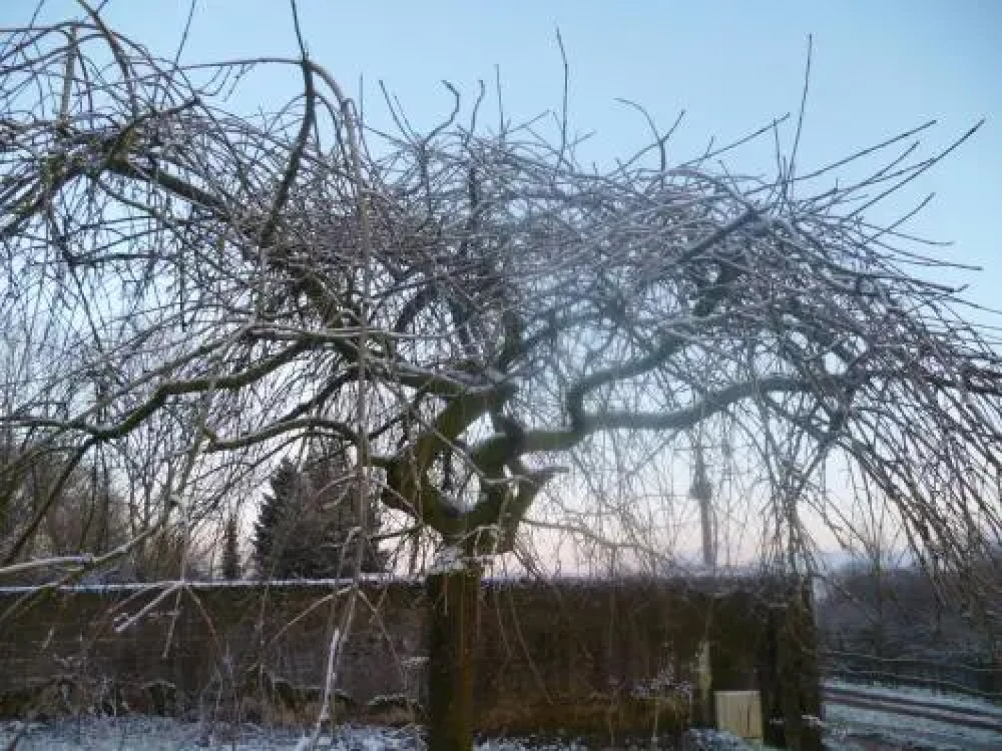 Ferme du bois des Etroits Wats