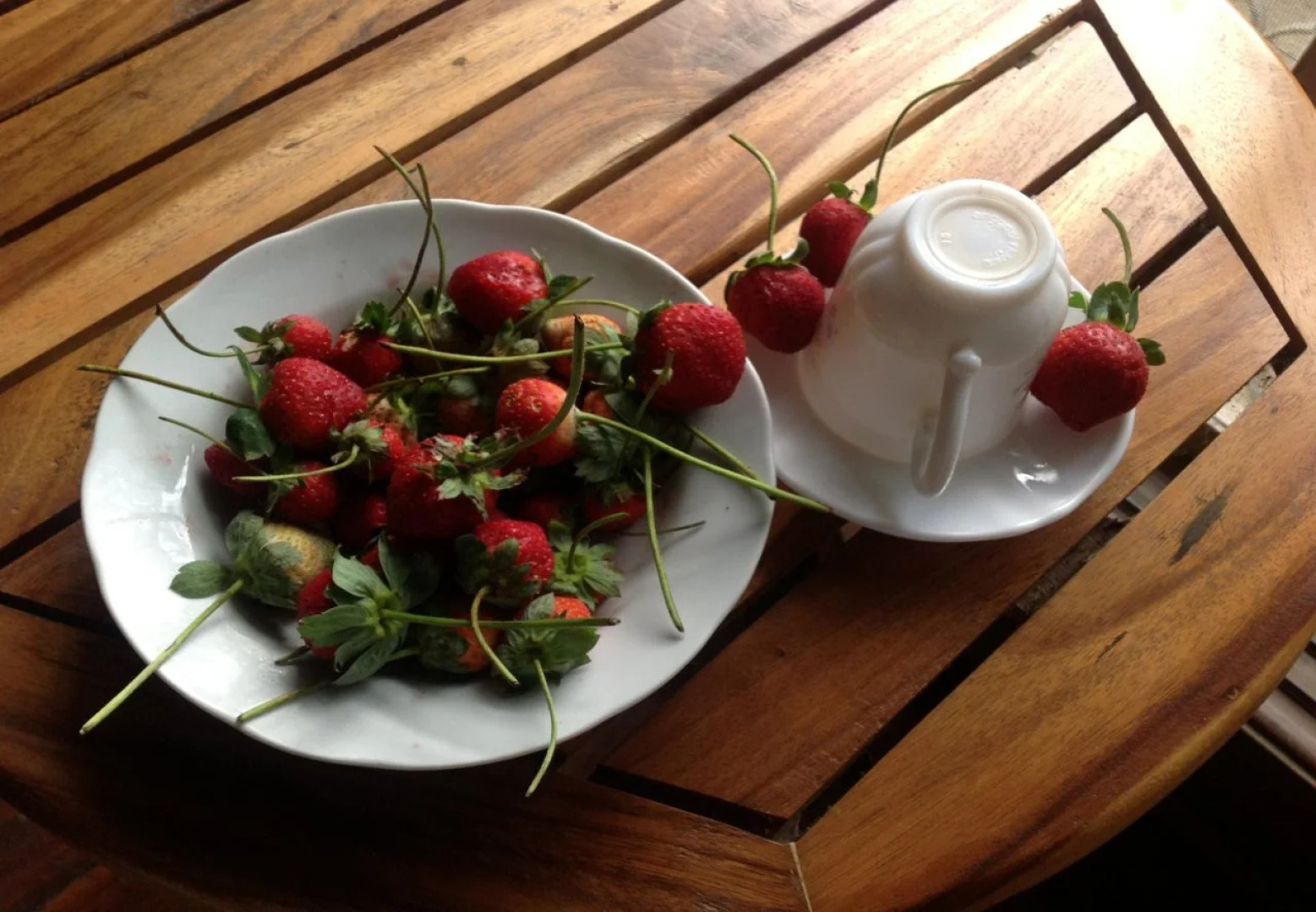 Pineridge Bucari Mountain Resort