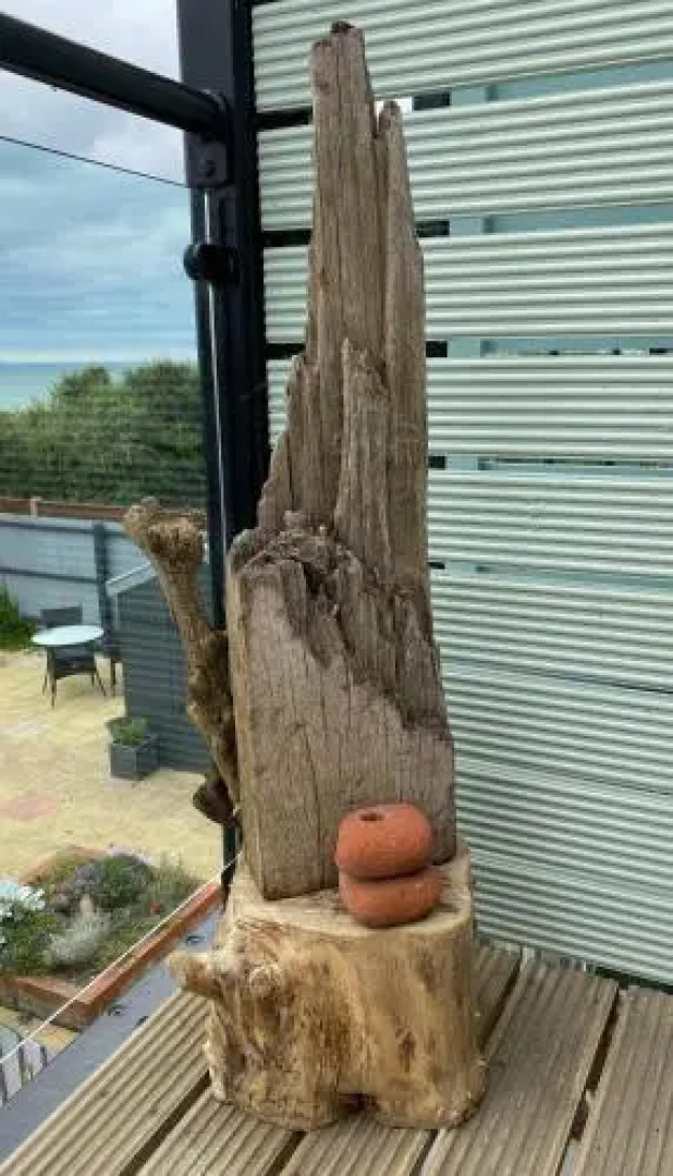 The Lookout