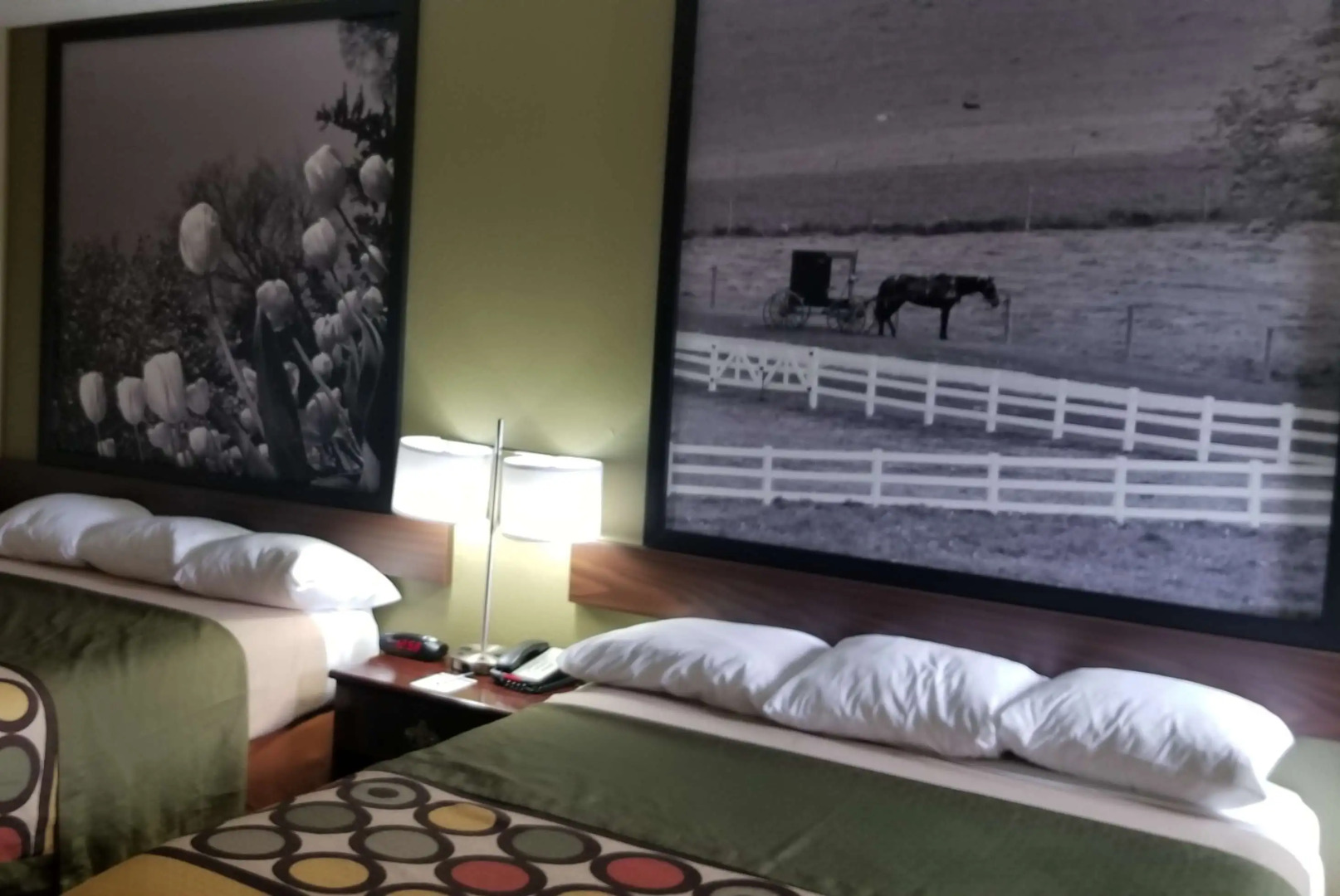 Super 8 by Wyndham Bellefontaine