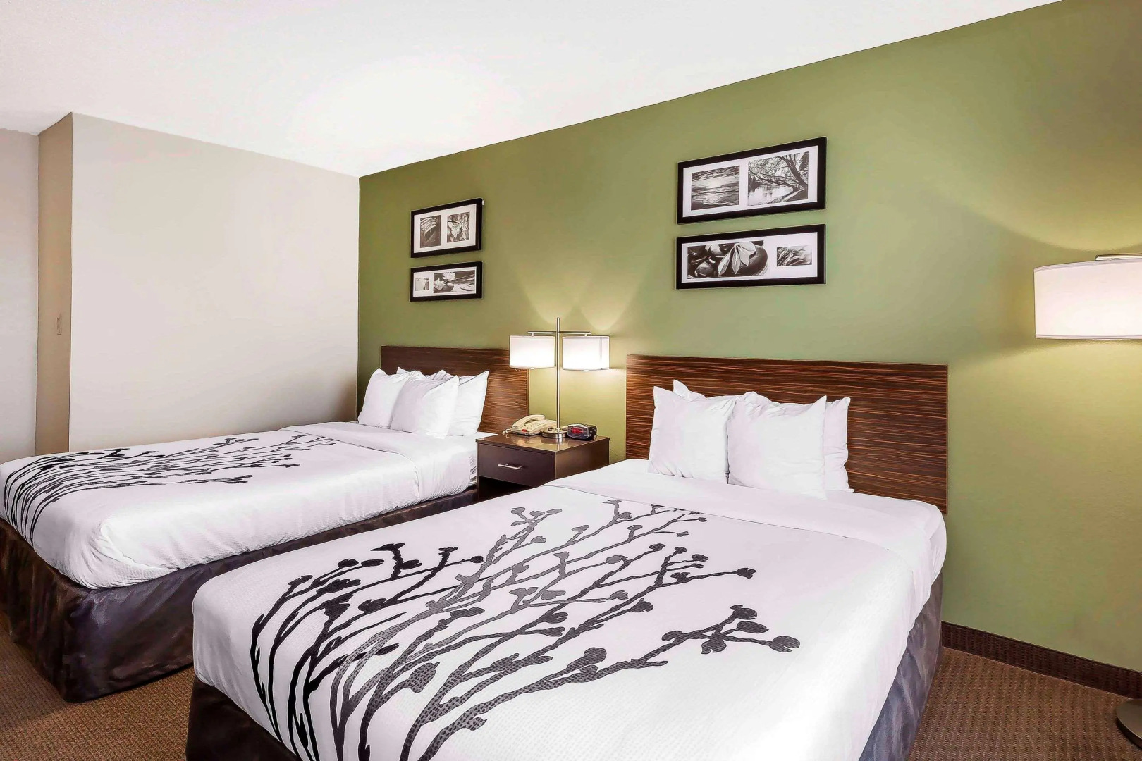 Sleep Inn Columbia Gateway