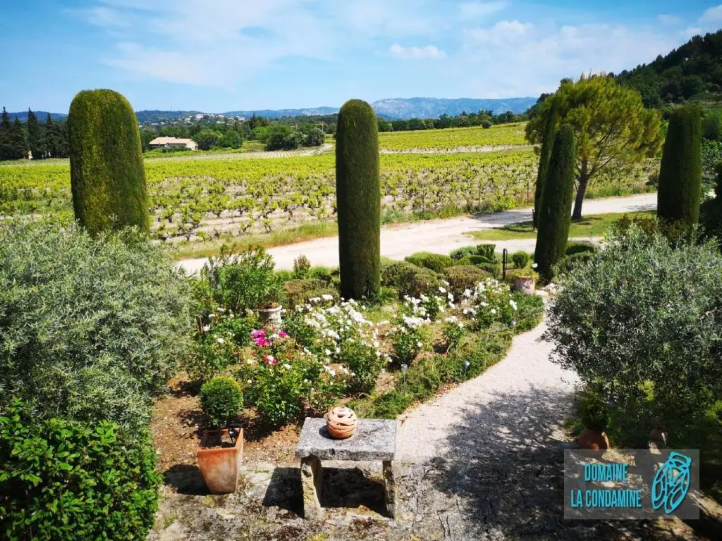 Domaine la CONDAMINE