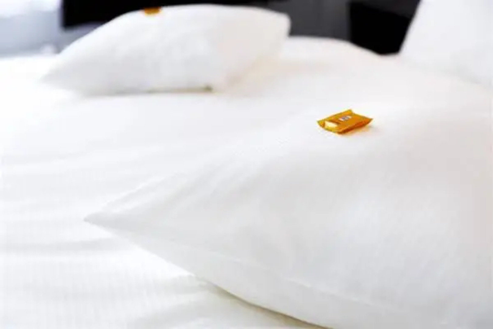 Logierhaus RheintorEins