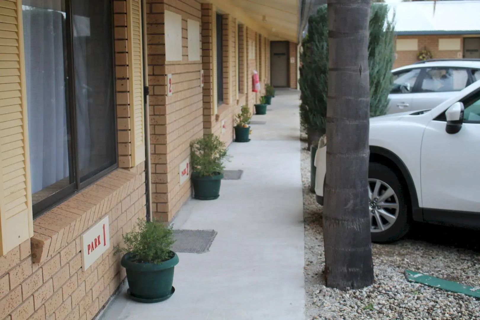 Lone Pine Motel - Corowa