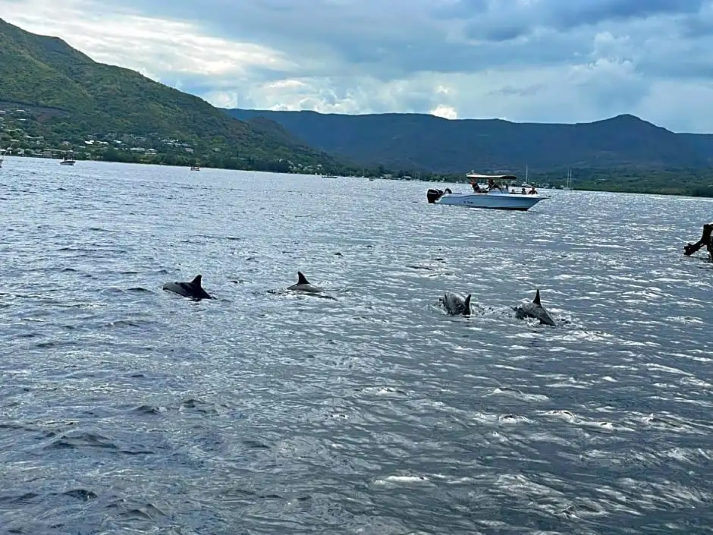 Riambel Paradise Inn Private Apartment