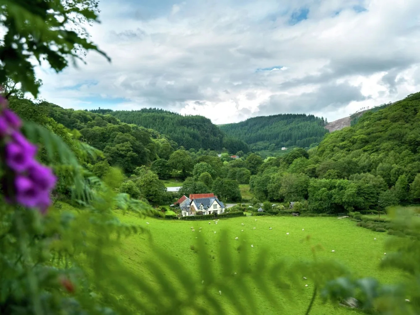 Cozy Holiday Home in South Wales With Patio