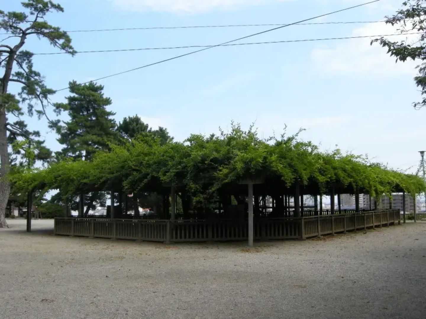 Yachiyo Kappou & Ryokan