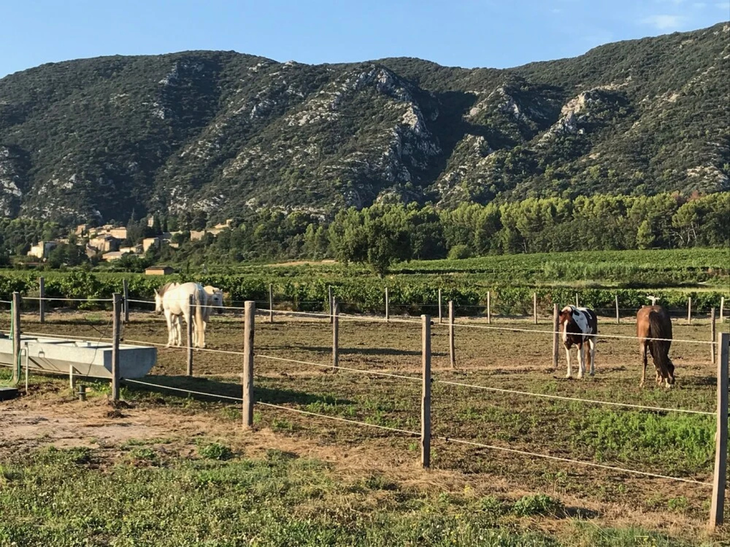Le Mas de Bagnol