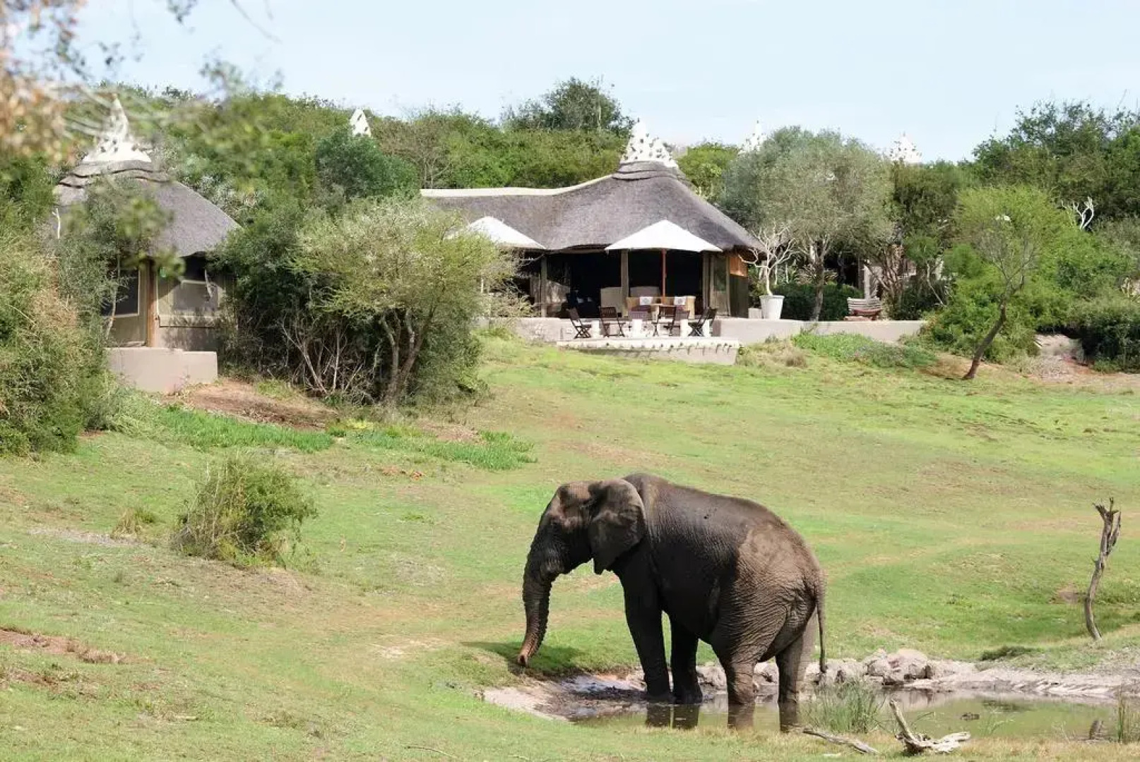 The Safari Lodge