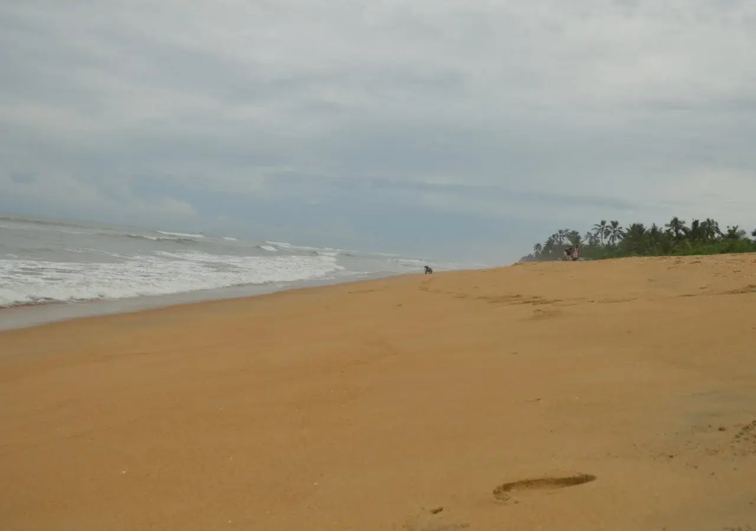 Wild Sands Beach Villa