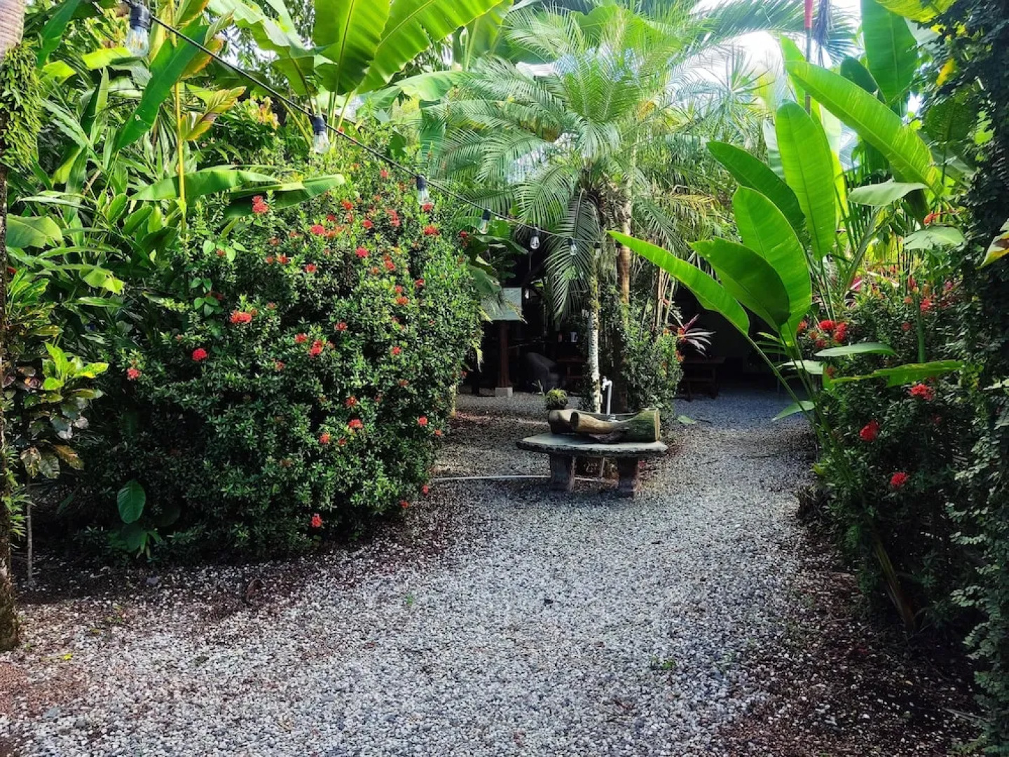 Cabinas Tropicales Puerto Jimenez