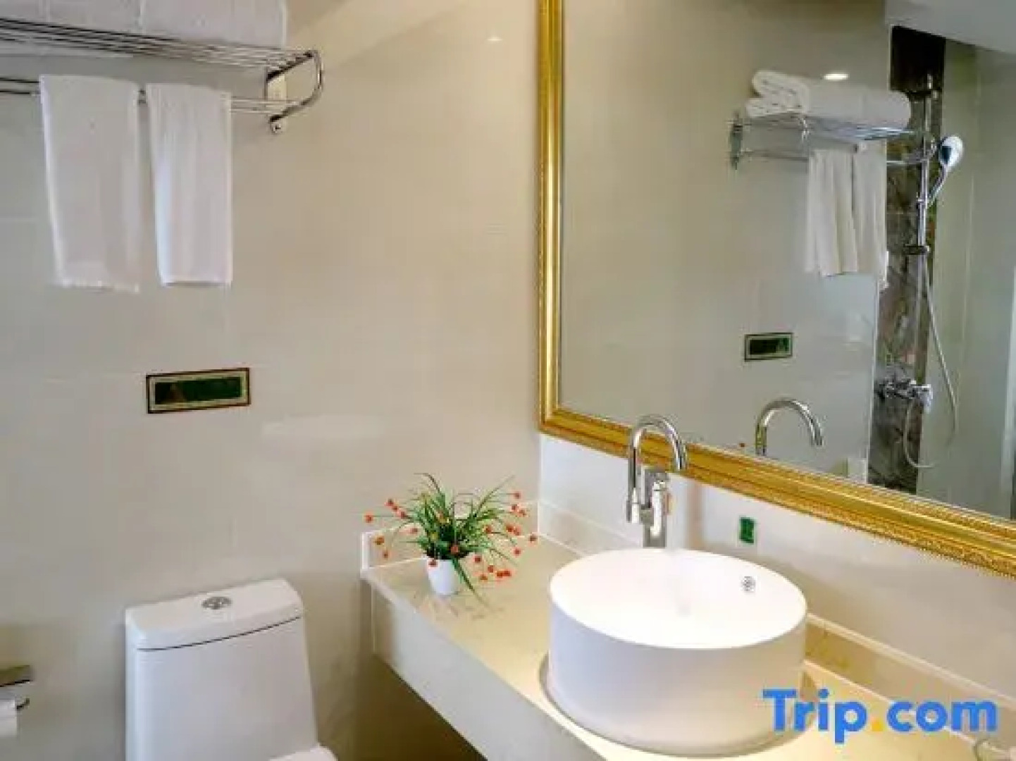 Vienna Classic Hotel (Anlu Jiefang Avenue)